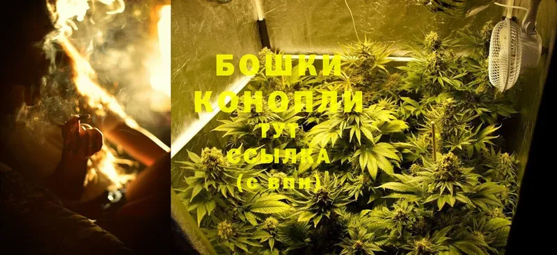 как найти закладки  Мичуринск  Каннабис Ganja 